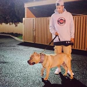 Meet your Posher, Simon